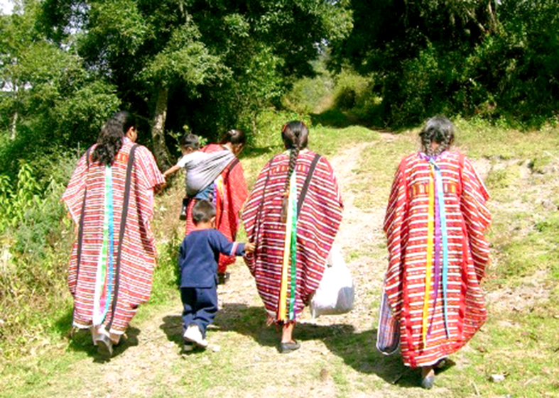 Comunidades rurales y pueblos indígenas