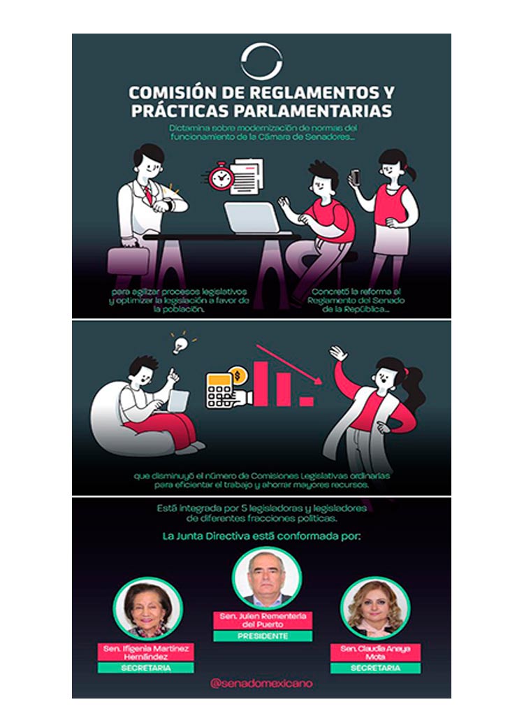 Comisión de reglamentos y prácticas parlamentarias