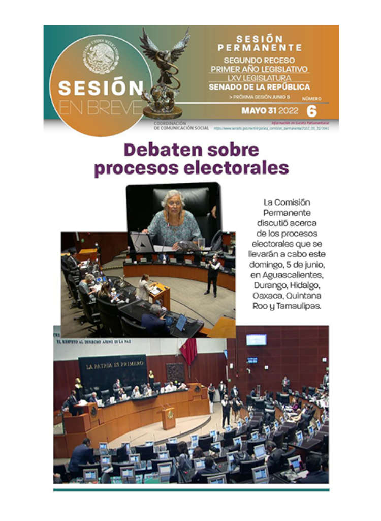 Senado - Debaten sobre procesos electorales