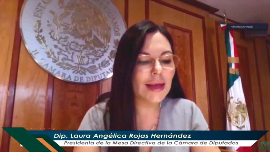 Diputada Laura Rojas Hernández, plantear la adición del artículo 63 constitucional