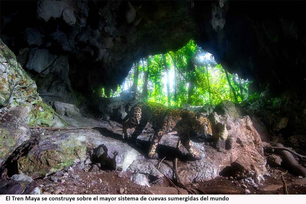 Sistema de cuevas sumergida en Yucatán