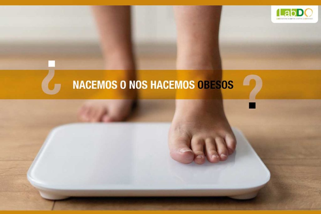 ¿Nacemos o nos volvemos obesos? - LabDO