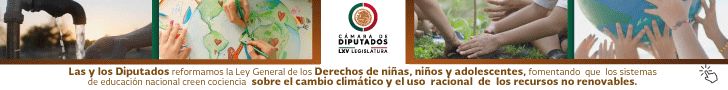 Camara de Diputados