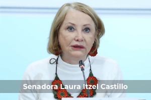 Entrevista con la senadora Laura Itzel Castillo