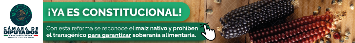 Cámara de Diputados